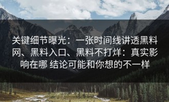 关键细节曝光：一张时间线讲透黑料网、黑料入口、黑料不打烊：真实影响在哪 结论可能和你想的不一样