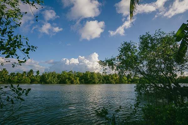 某个周末爆了：糖心频道断舍离，一段被删的录音终于来了｜看完记得评论