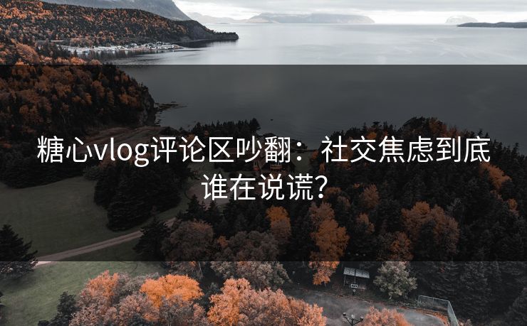糖心vlog评论区吵翻：社交焦虑到底谁在说谎？